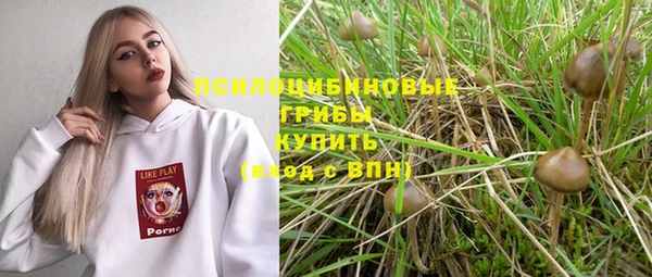 дживик Горно-Алтайск