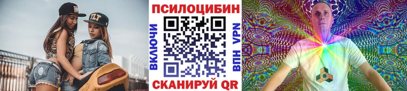 Купить закладки  Чадан  Псилоцибиновые грибы Cubensis 